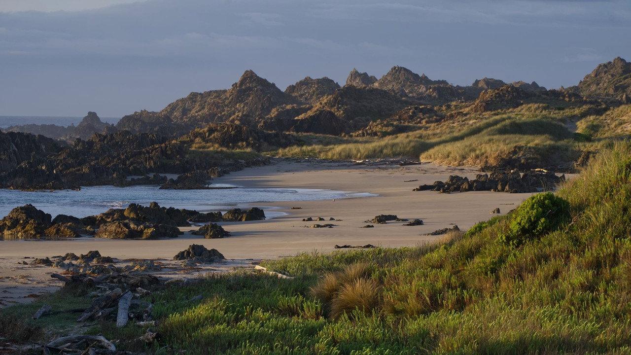 Tasmania’s Wild Treasures backdrop