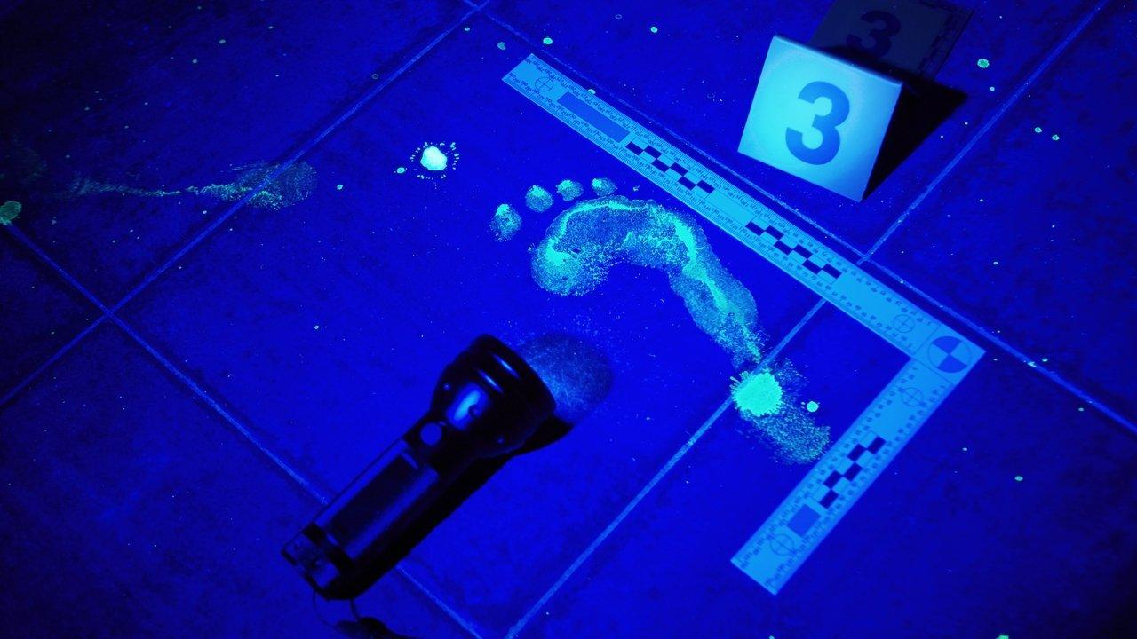 Forensic Files backdrop