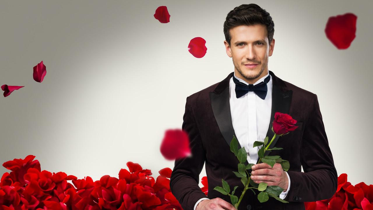 Bachelor Czech Republic backdrop