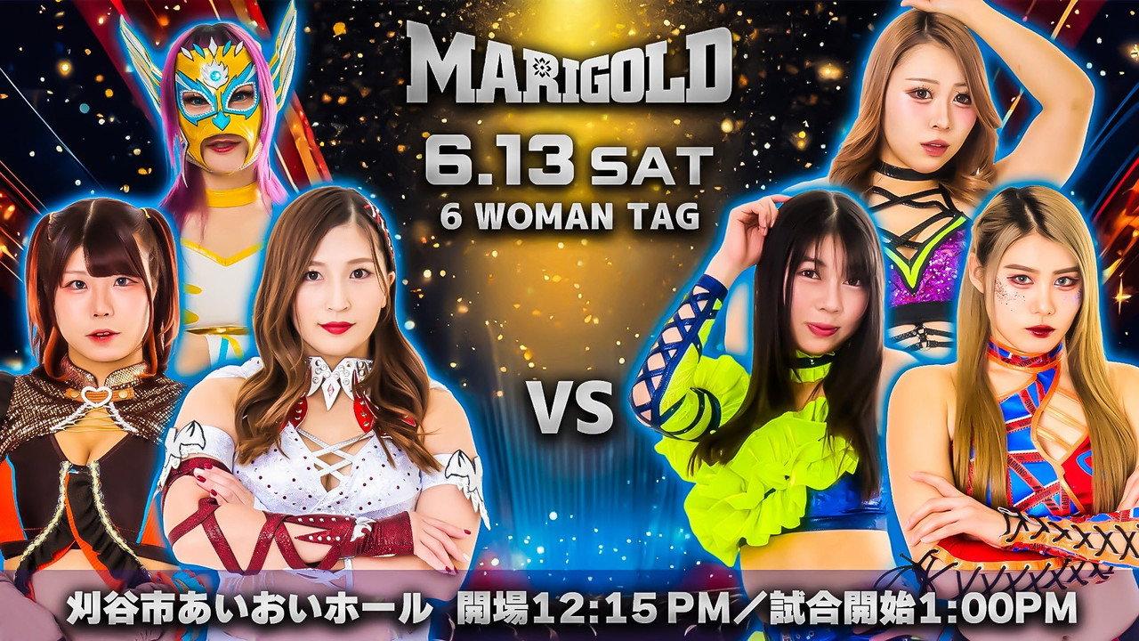 Marigold Shining Attack 2026 ~ Day 12 backdrop