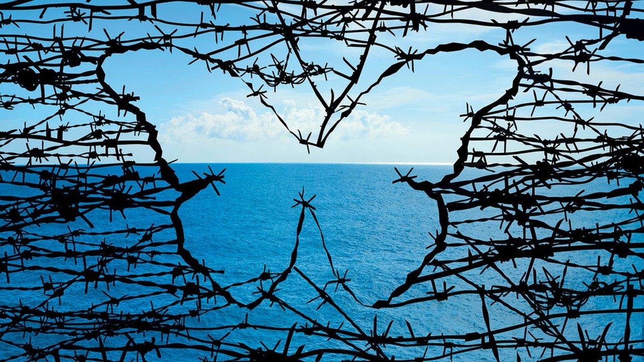 Papillon backdrop