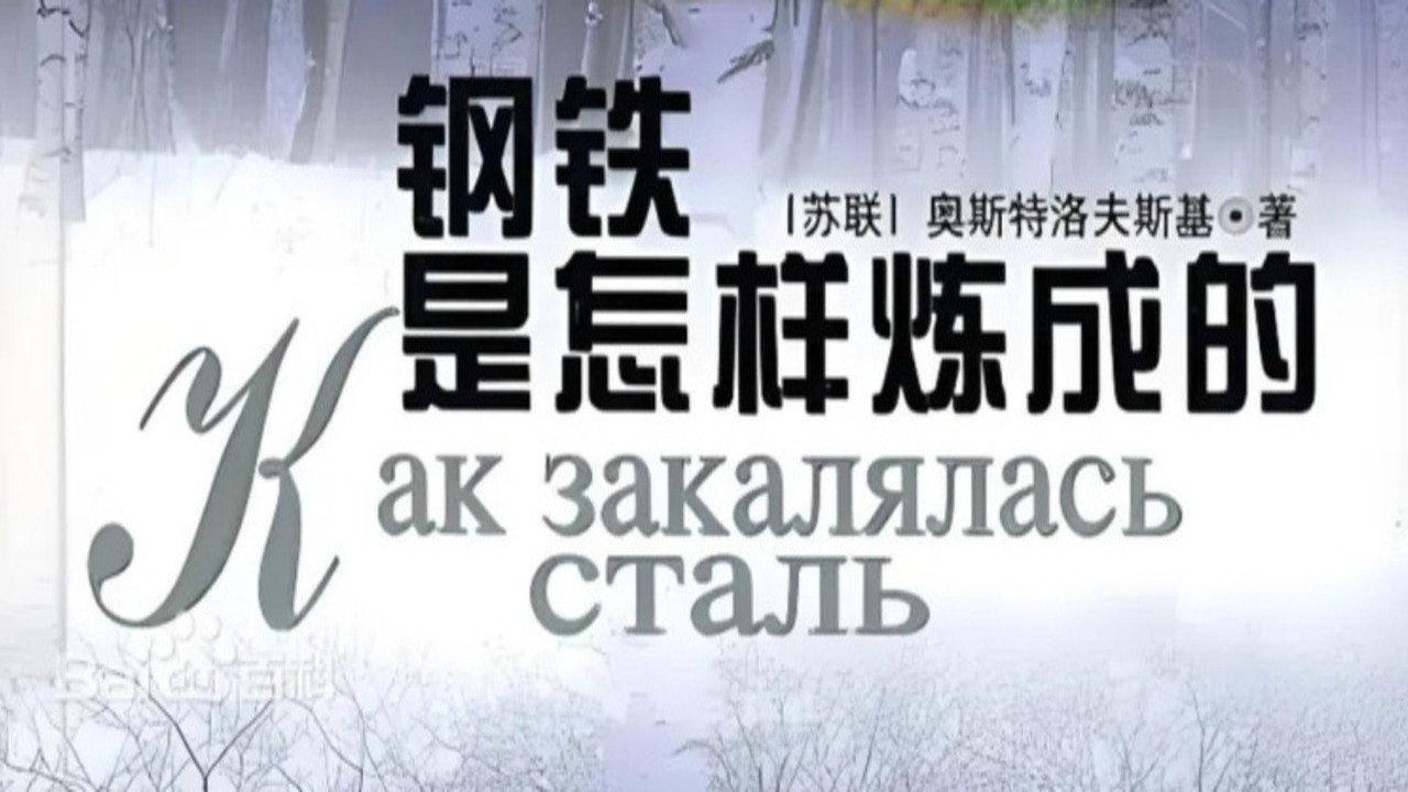 钢铁是怎样练成的 backdrop