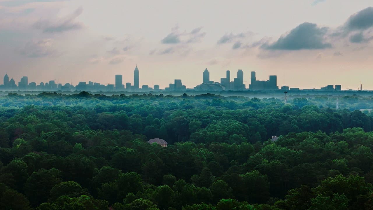 The Tree Economy backdrop