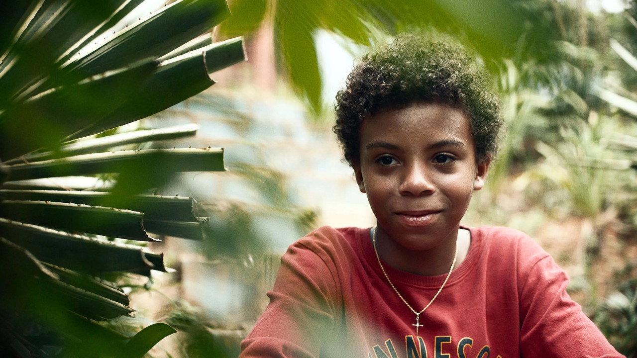Small Country: An African Childhood backdrop