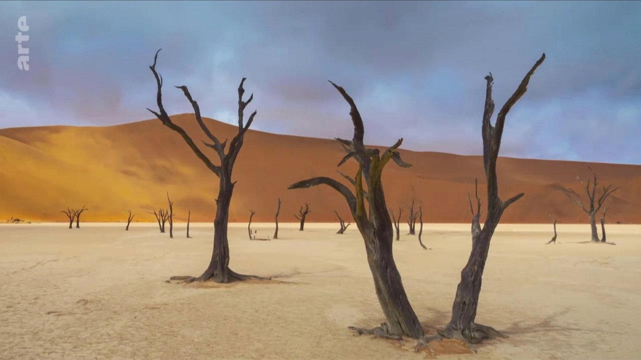 Abenteuer Namibia backdrop