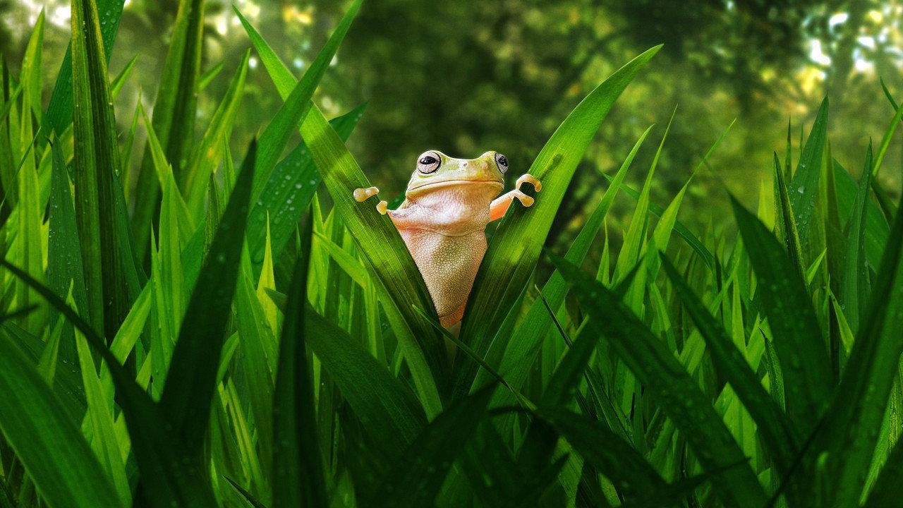 Tiny World backdrop