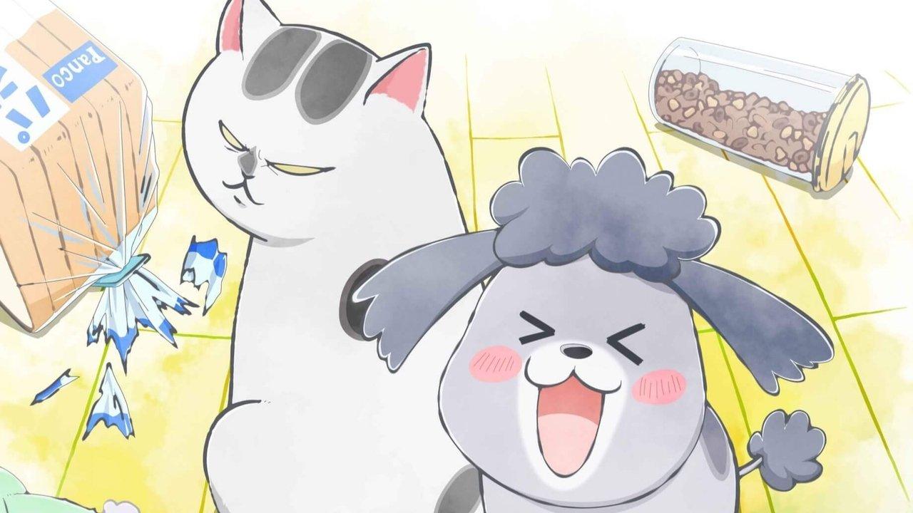 With a Dog AND a Cat, Every Day Is Fun backdrop