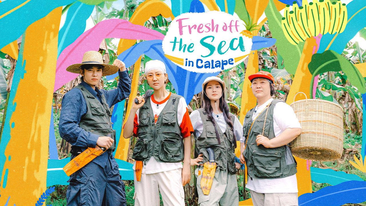 Fresh off the Sea in Calape backdrop