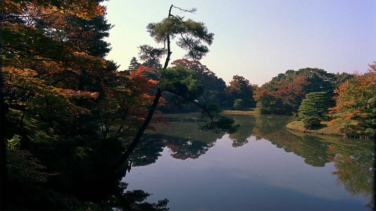 Dream Window: Reflections on the Japanese Garden backdrop