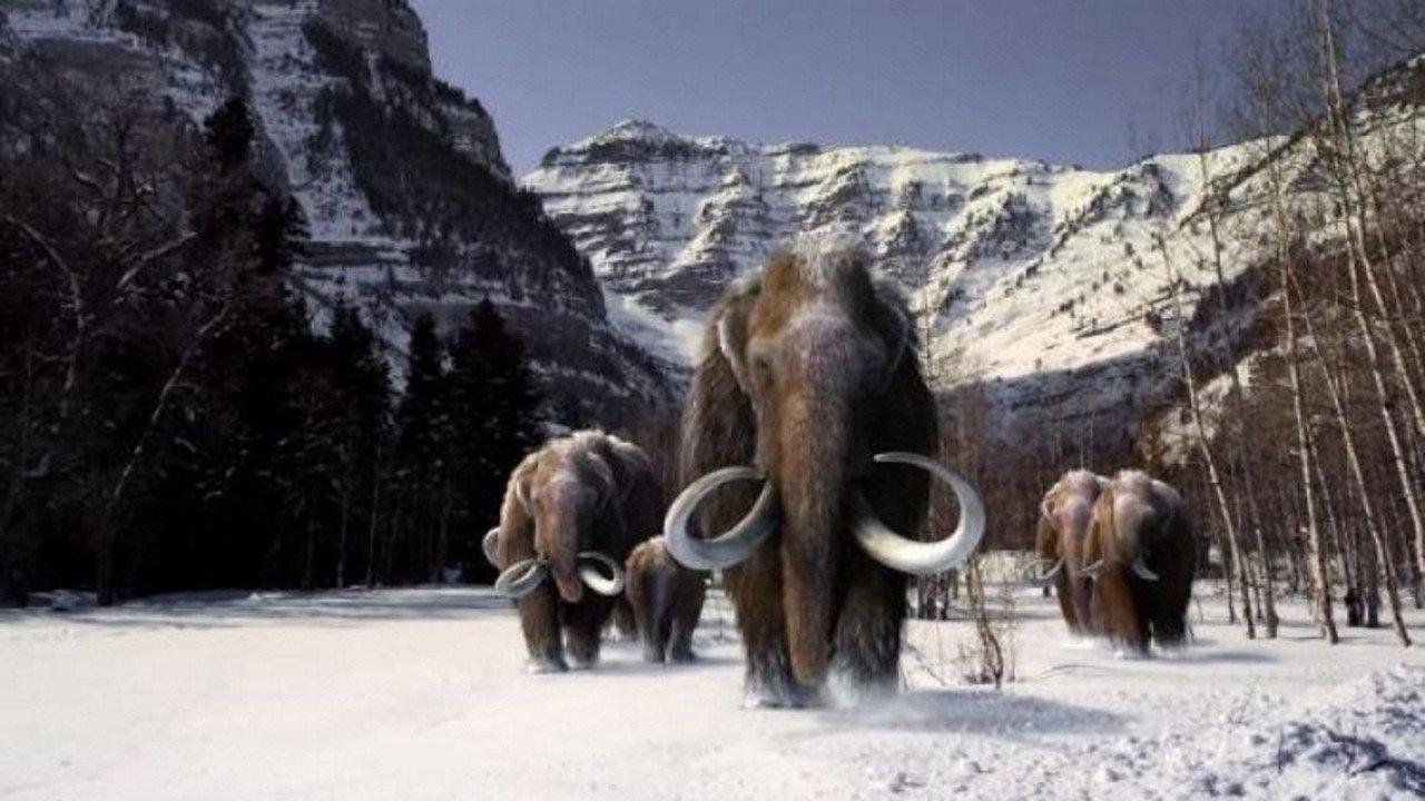The Mammoth. Titan of the Ice Age backdrop
