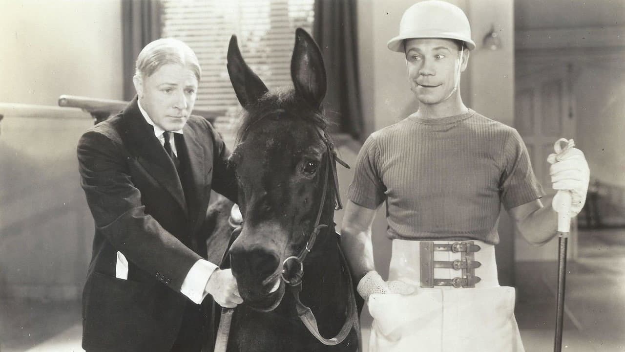 Polo Joe backdrop