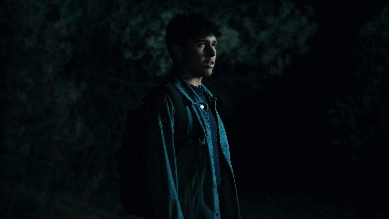 The Echo Forest backdrop