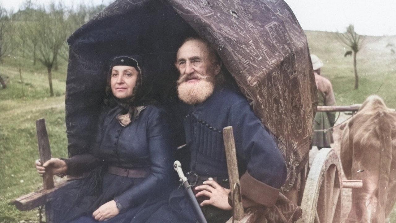 Samanishvili's Stepmother backdrop