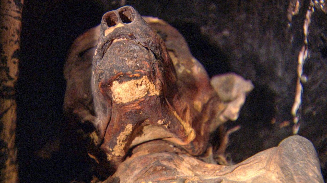 The Mysterious Mummified Dogs of Ancient Egypt backdrop