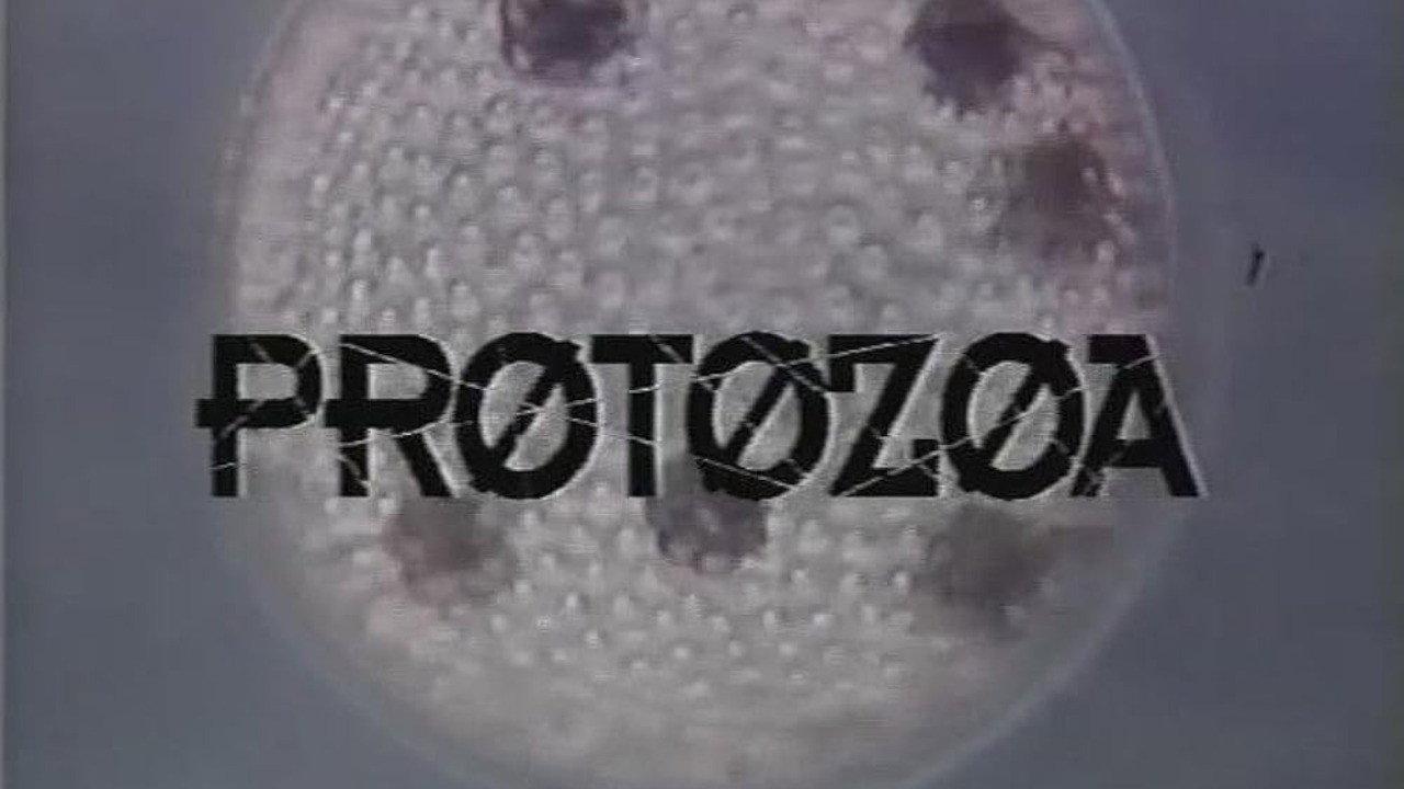 Protozoa backdrop