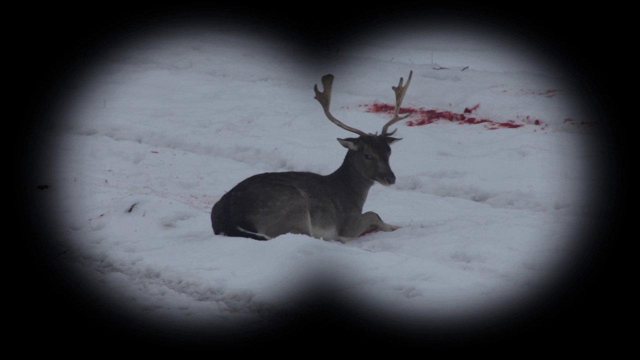 Long Live Hunting! backdrop