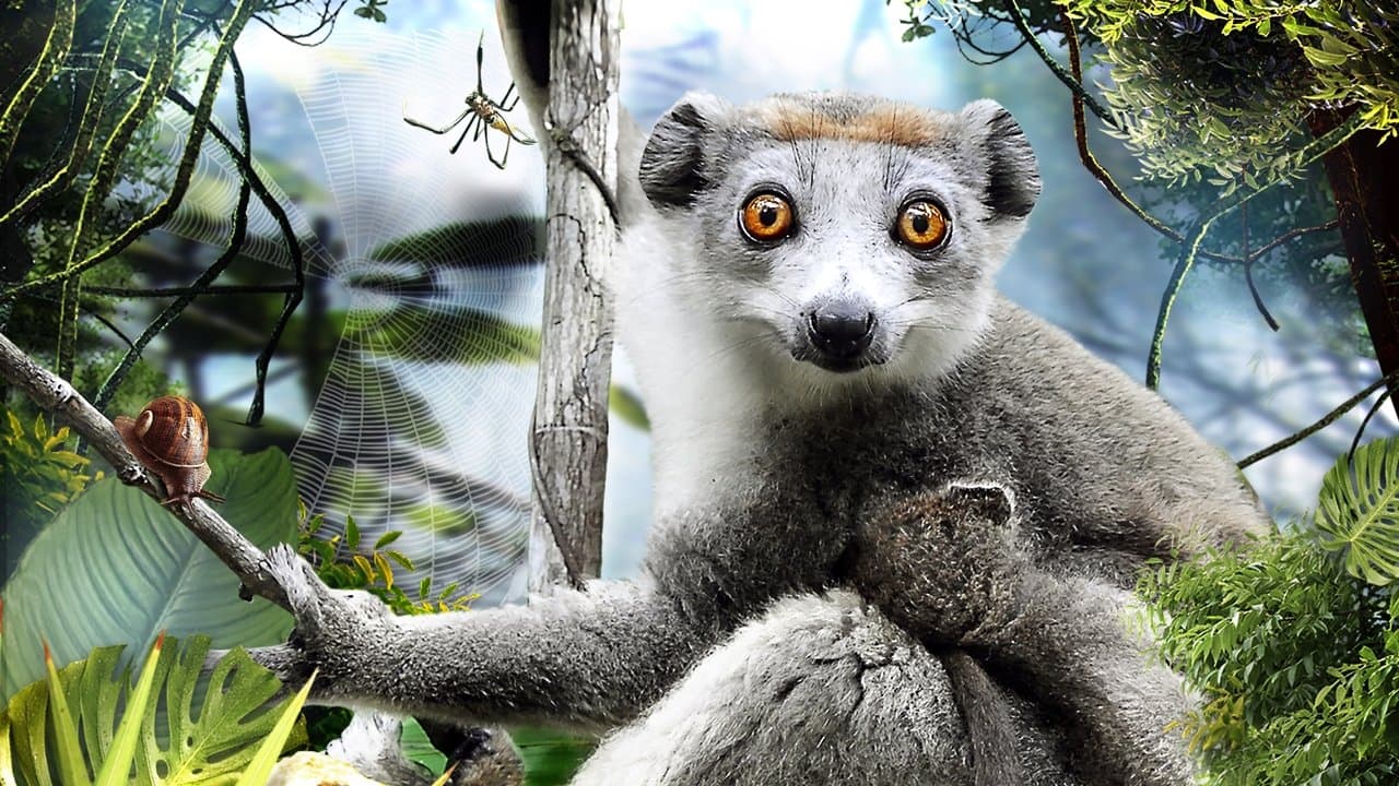 Madagascar 3D backdrop