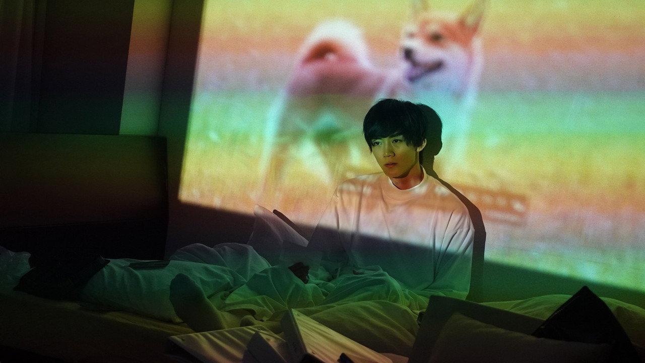 Dog Turns and Runs Away backdrop