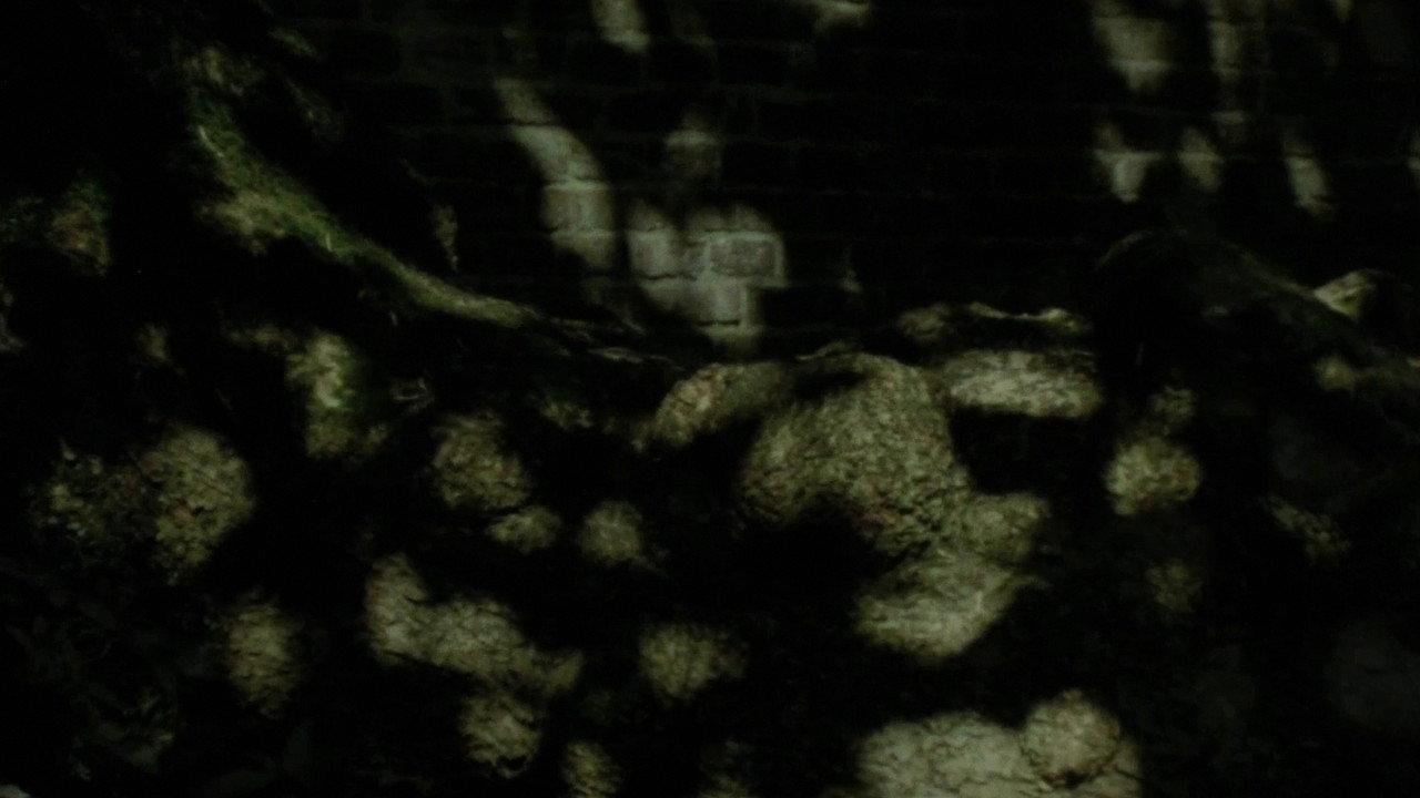 Spring Masks backdrop