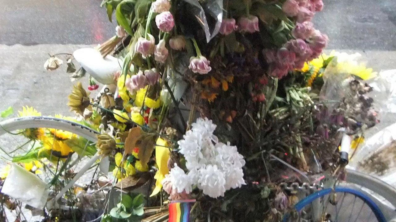 Flowers and Bike backdrop