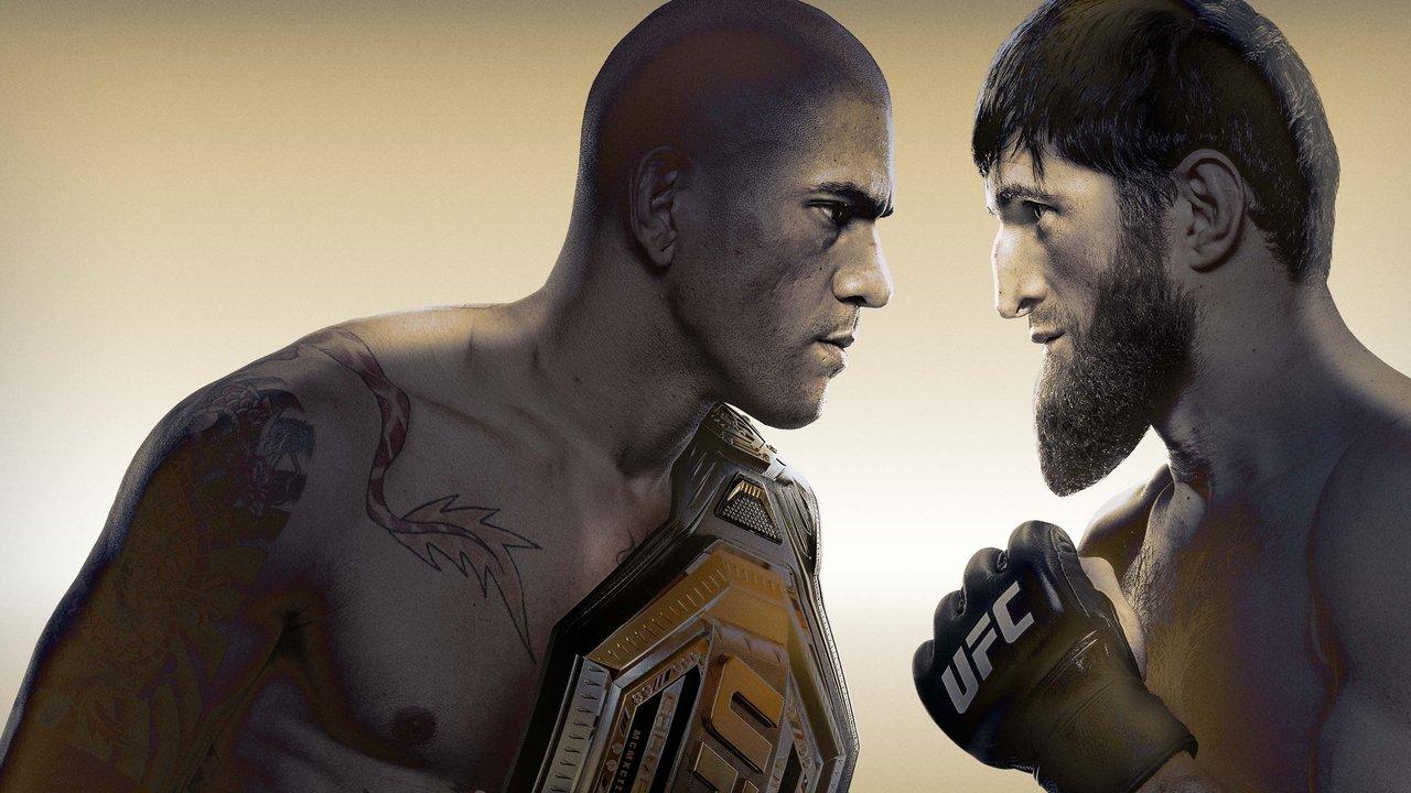 UFC 313: Pereira vs. Ankalaev backdrop