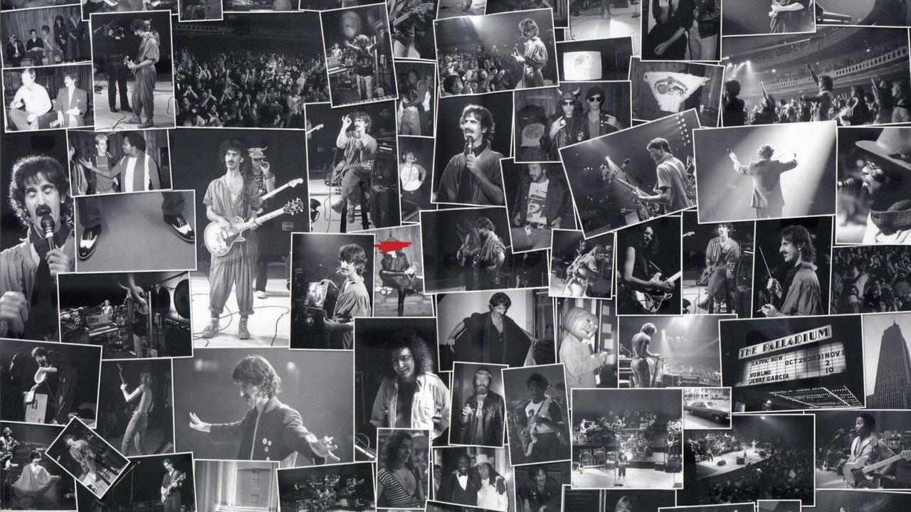 An Evening with Frank Zappa During Which... The Torture Never Stops backdrop