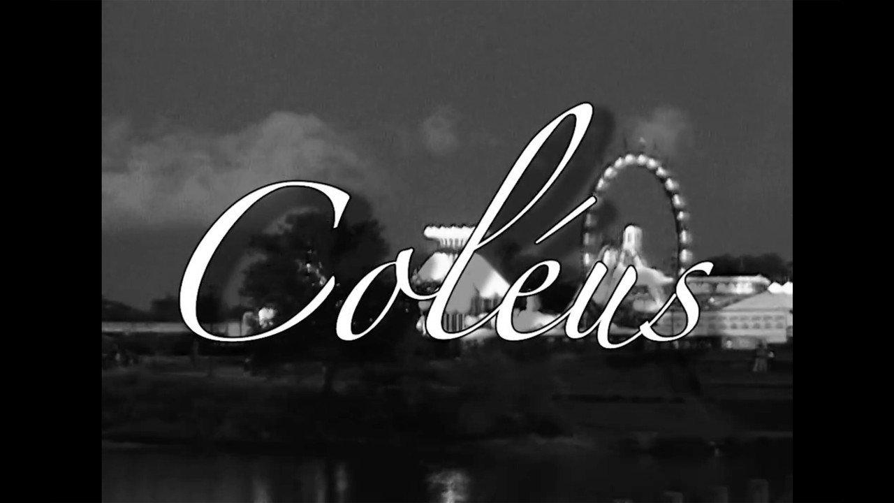 Coléus backdrop