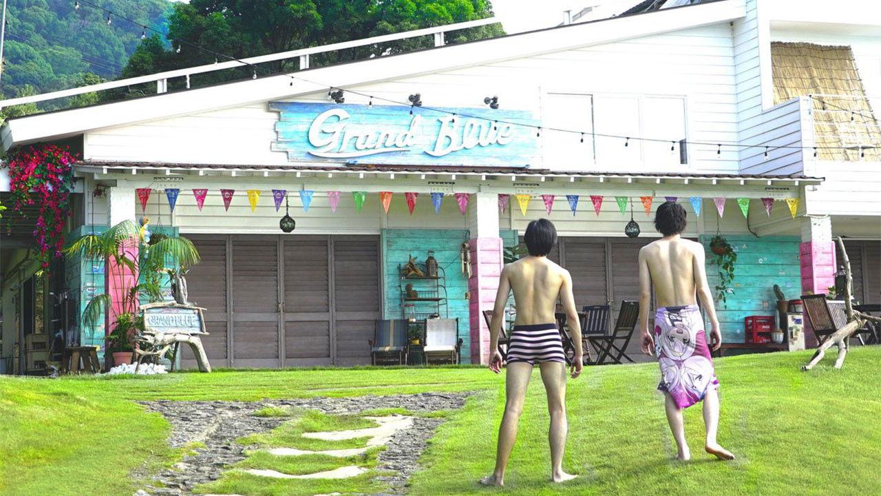 Grand Blue backdrop