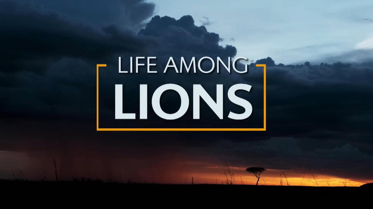 Life Among Lions backdrop