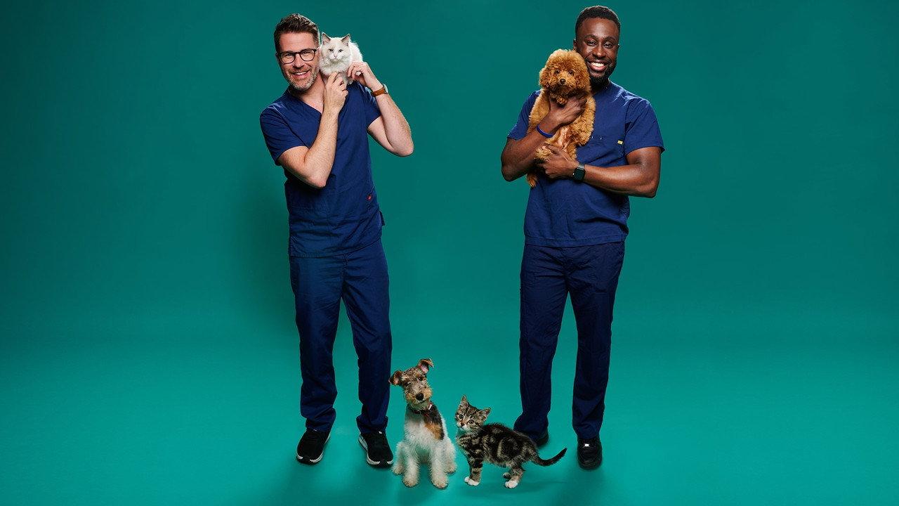 Fur Babies backdrop