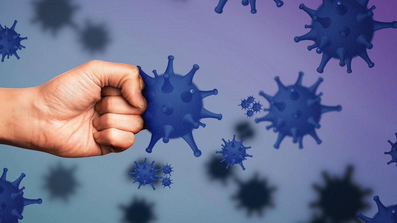The Immune System: Guardian of Our Health backdrop