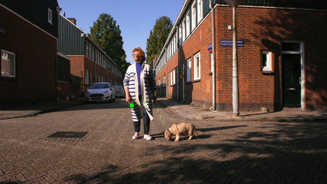 Mijn Noord backdrop
