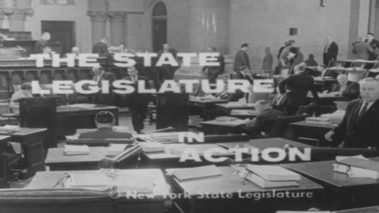 The State Legislature in Action backdrop