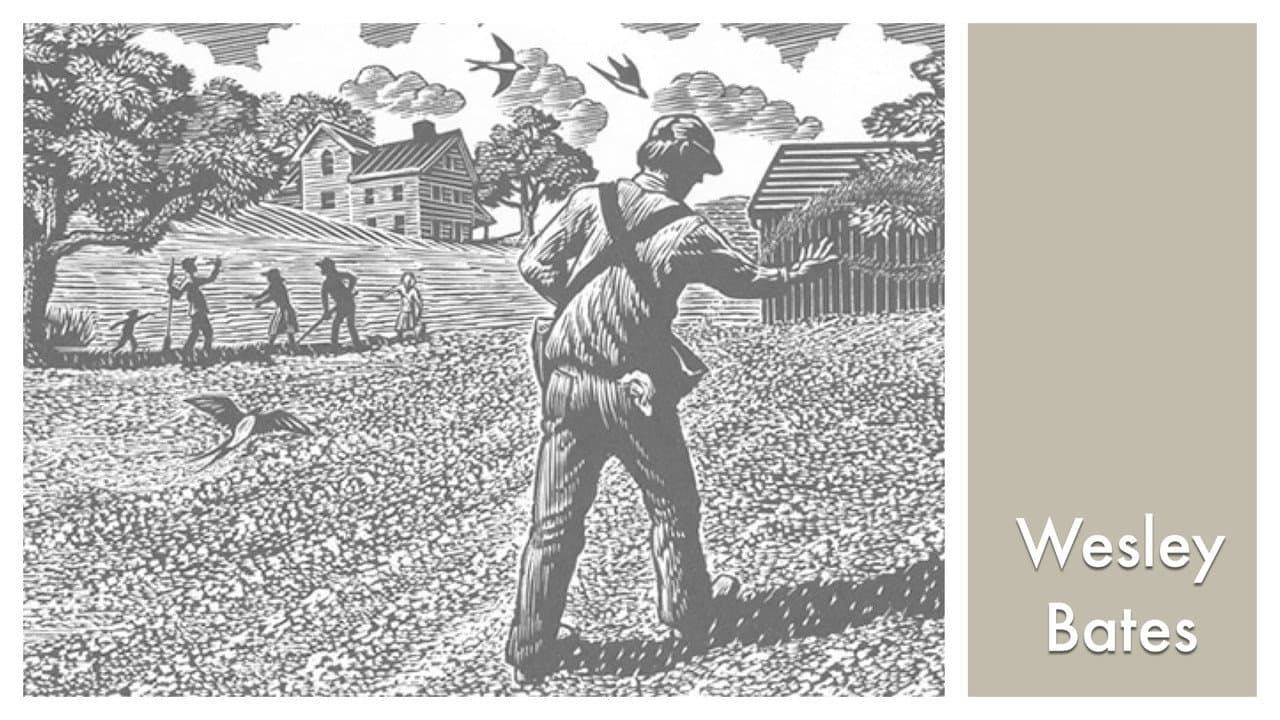 LOOK & SEE: Wesley W. Bates - Wood Engraver backdrop