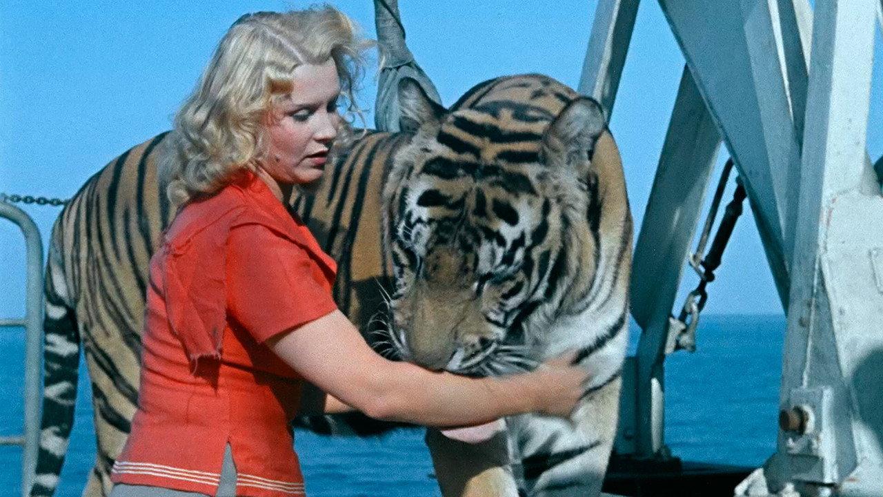 Striped Trip backdrop