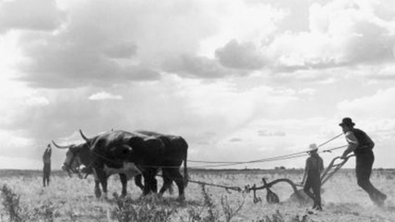 Drylanders backdrop