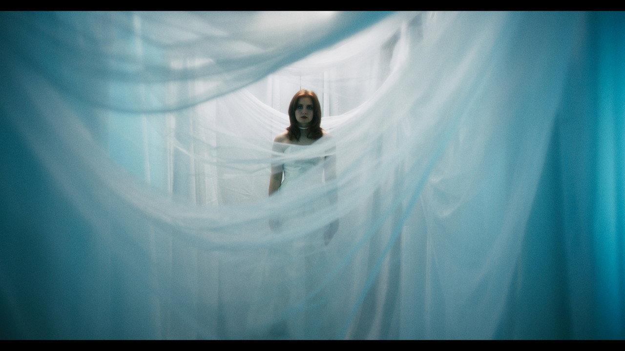 Célosia backdrop