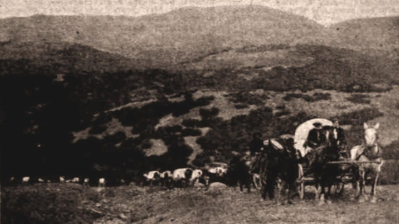 One Hundred Years of Mormonism backdrop