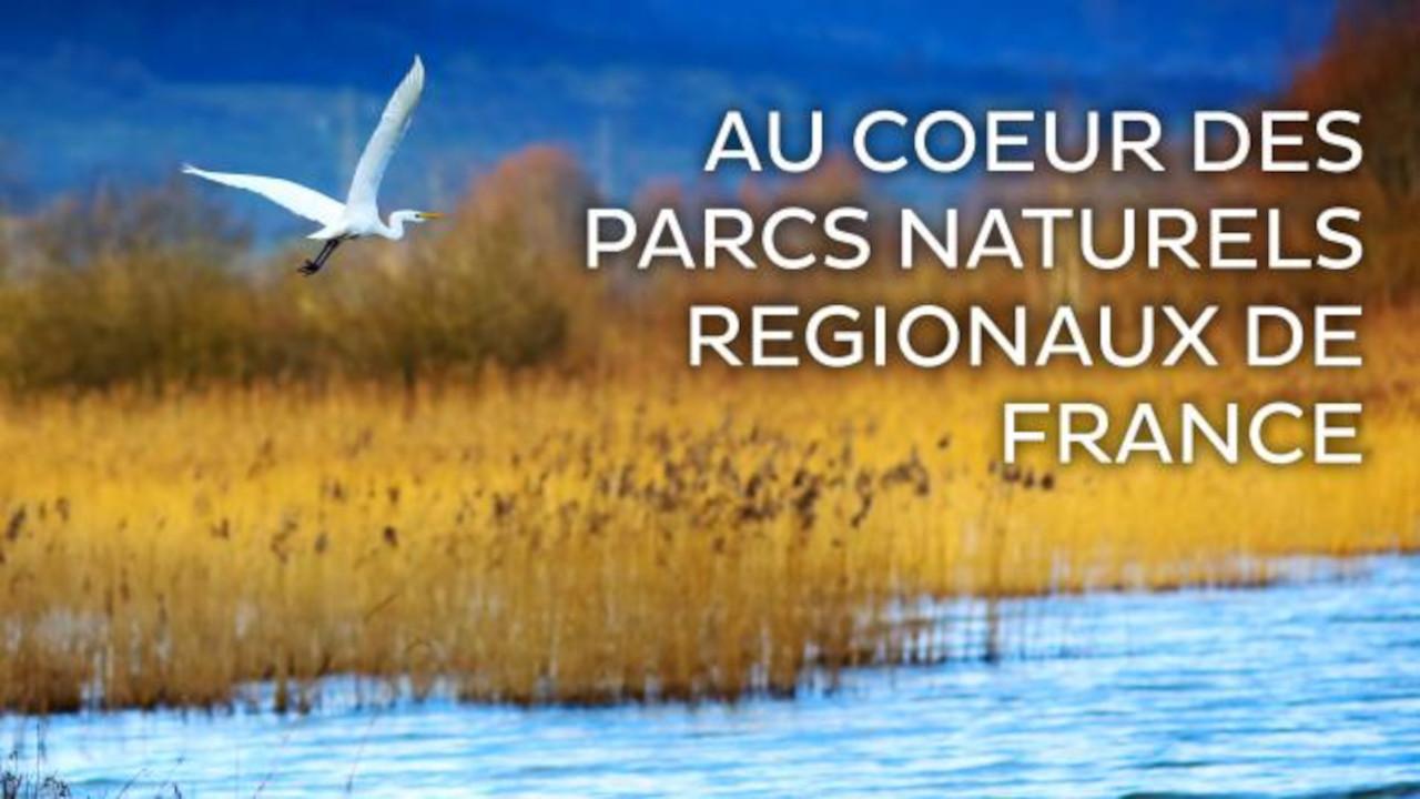 Au cœur des parcs régionaux naturels de France backdrop