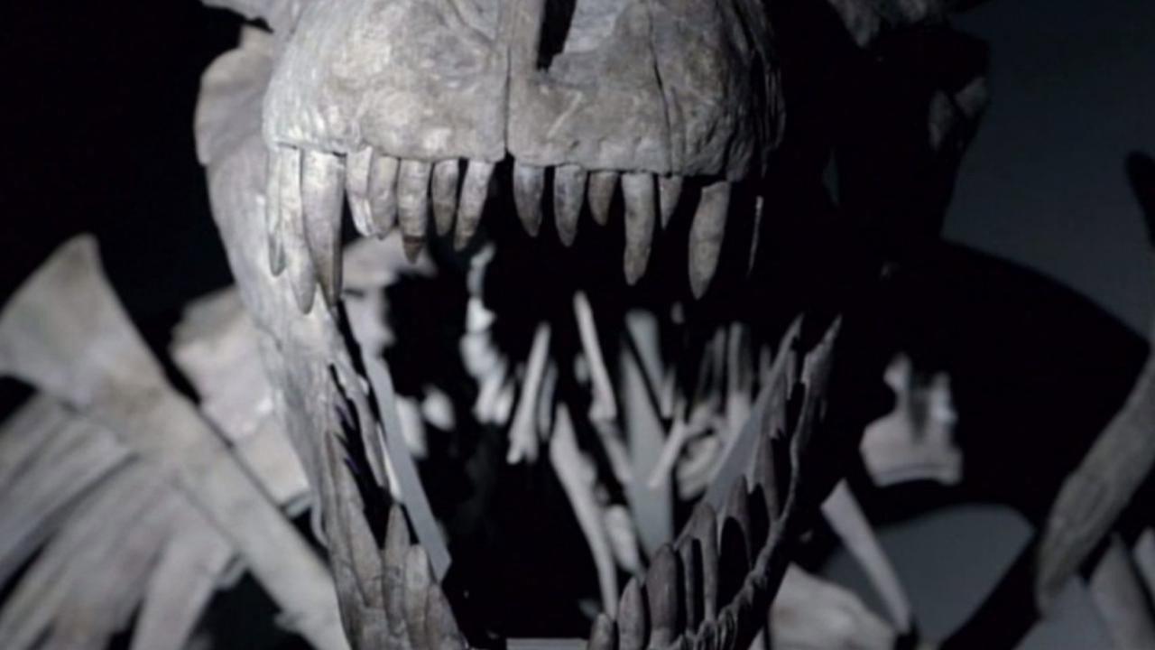 Dinosaurs: The Hunt for Life backdrop