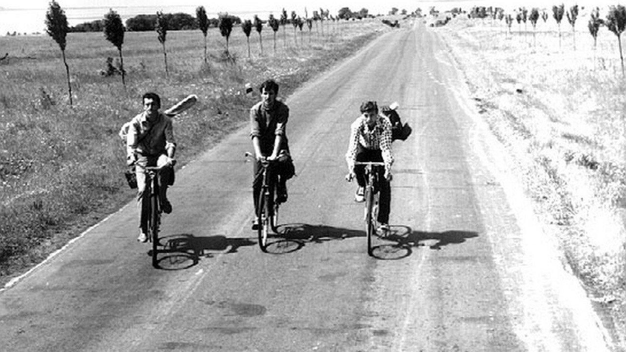 Cyclists in Love backdrop