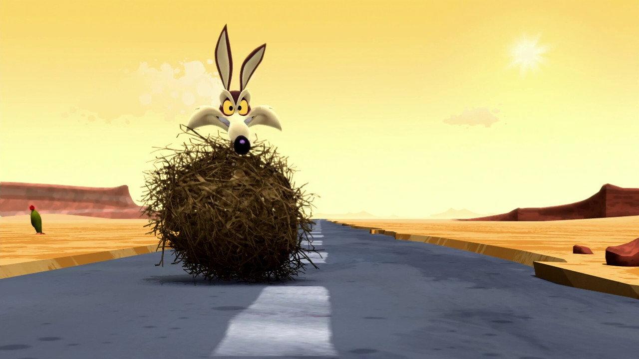 Camo-Coyote backdrop