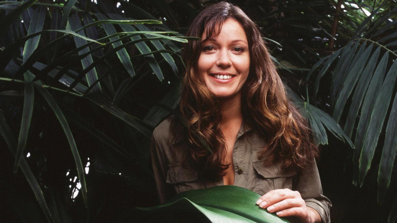 Jungle backdrop