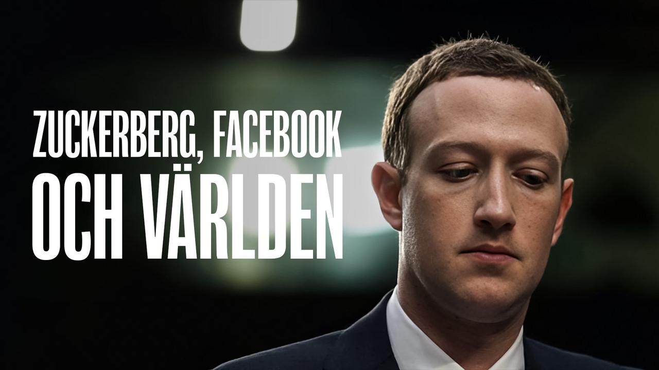 Inside Zuckerberg's Meta-Brain backdrop