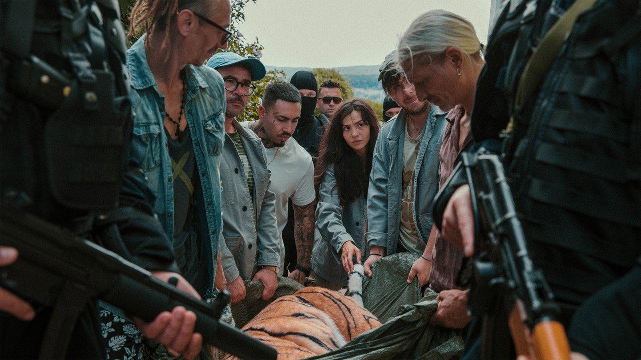 Day of the Tiger backdrop