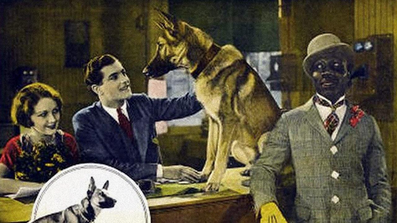 The Outlaw Dog backdrop