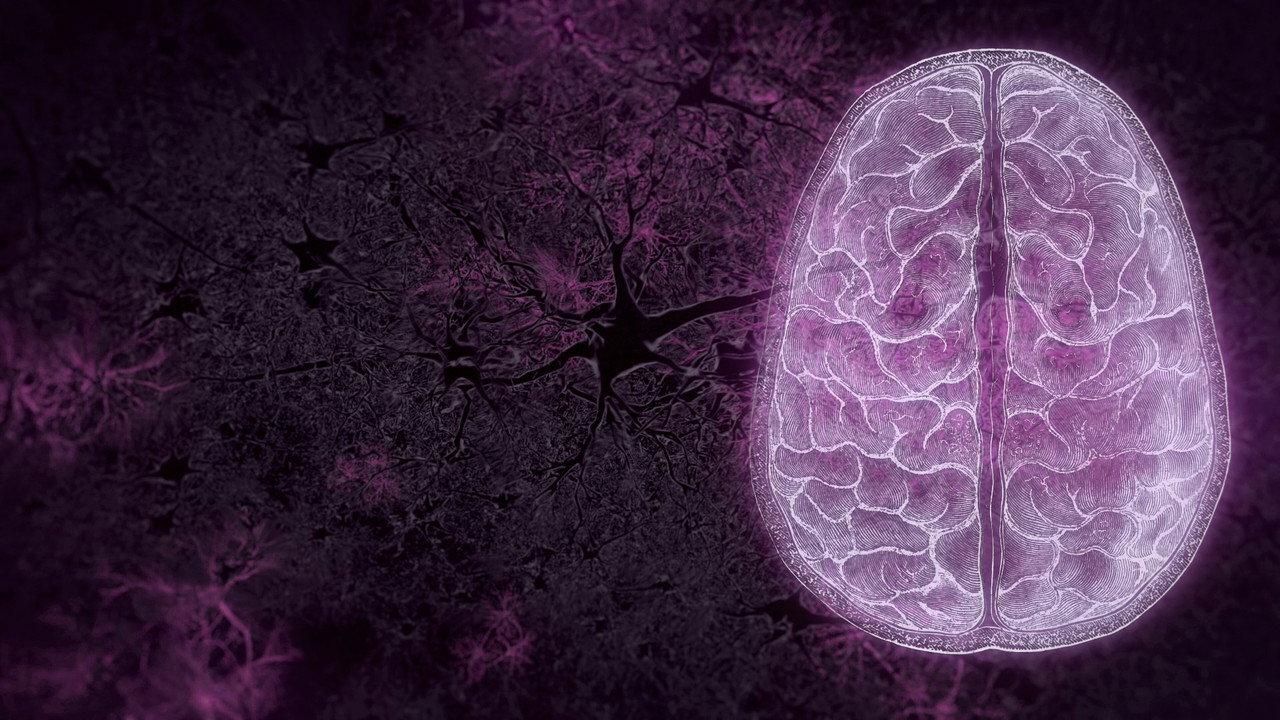 Your Brain backdrop