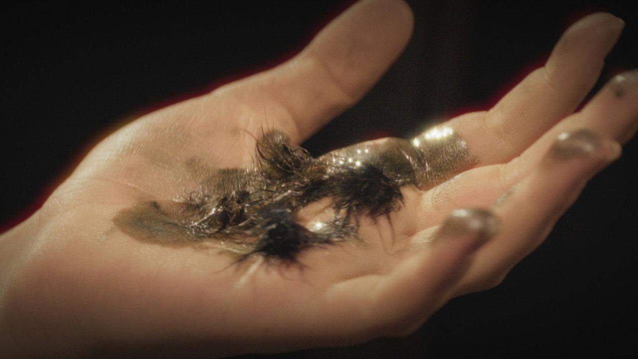 MARAL backdrop