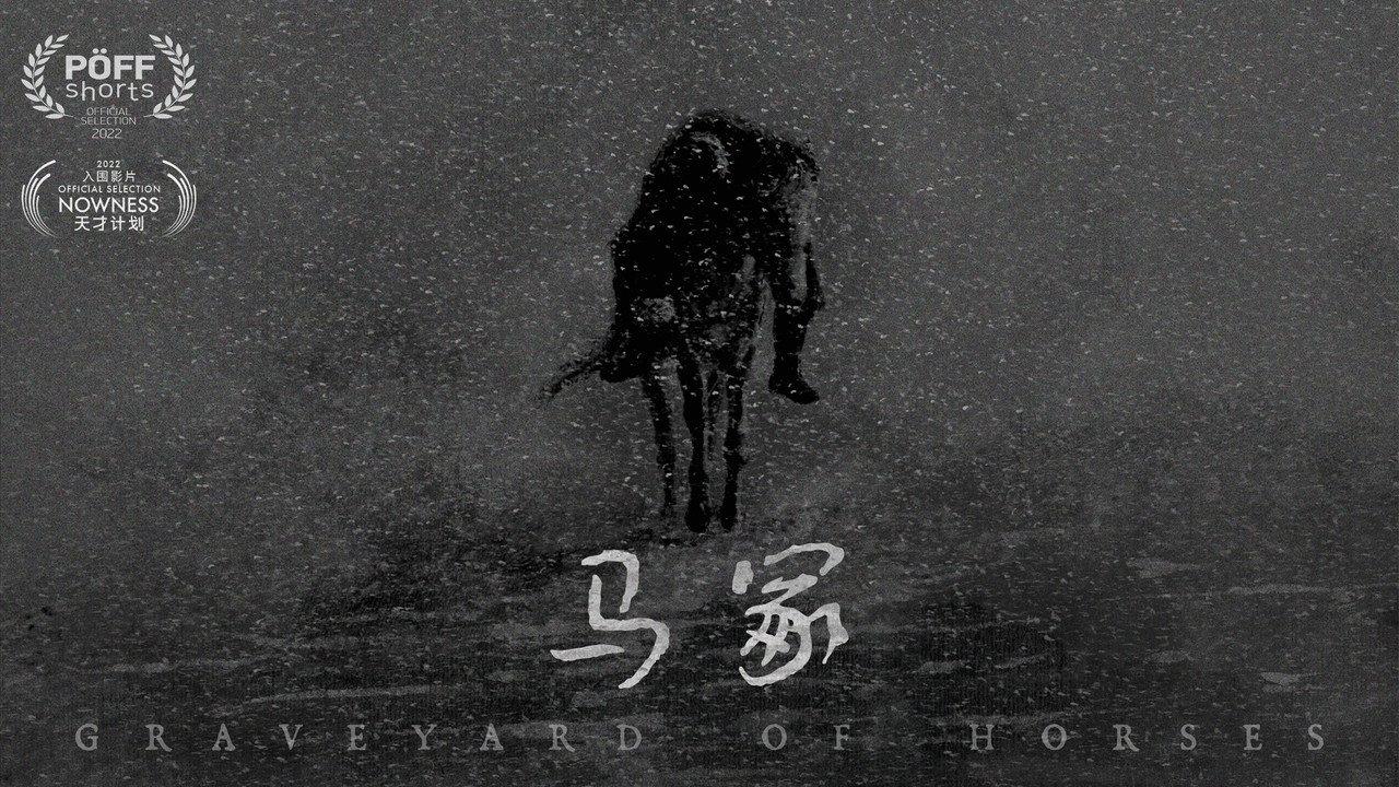 Graveyard of Horses backdrop