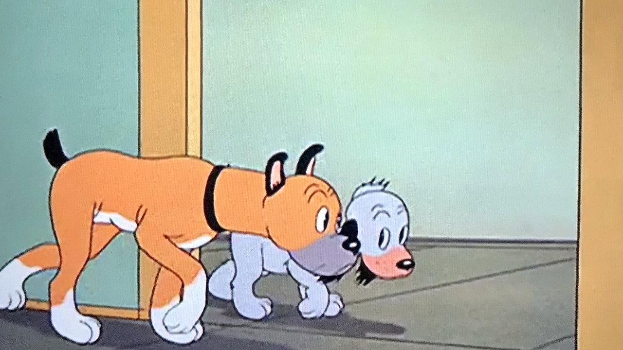 The Curious Puppy backdrop